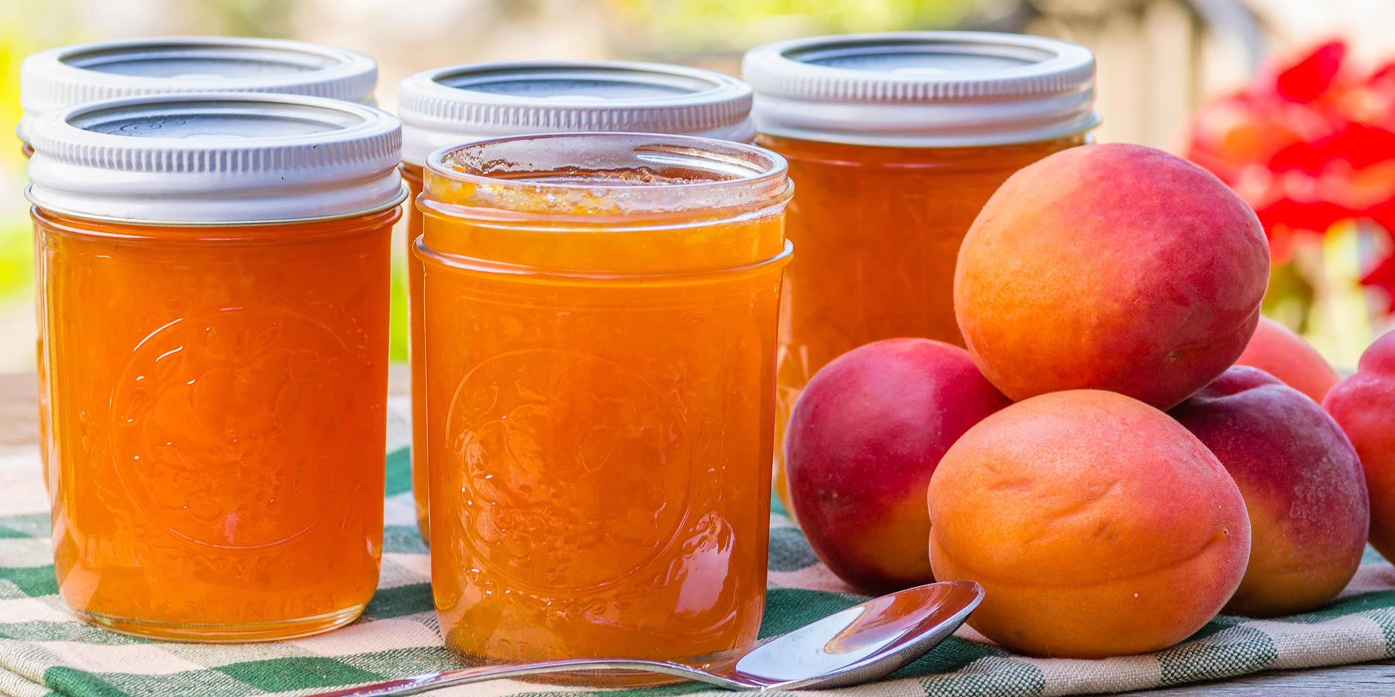 Apricot Ginger Preserves Recipe Zero Calorie Sweetener & Sugar Substitute Splenda Sweeteners