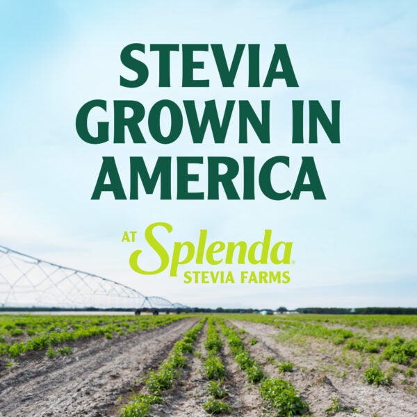 Stevia cultivada en Estados Unidos