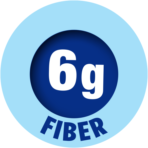 6g Fiber Icon