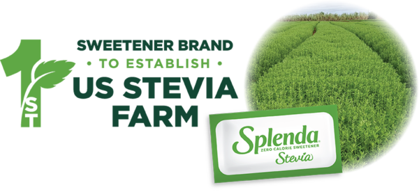1st U.S. Stevia Farm
