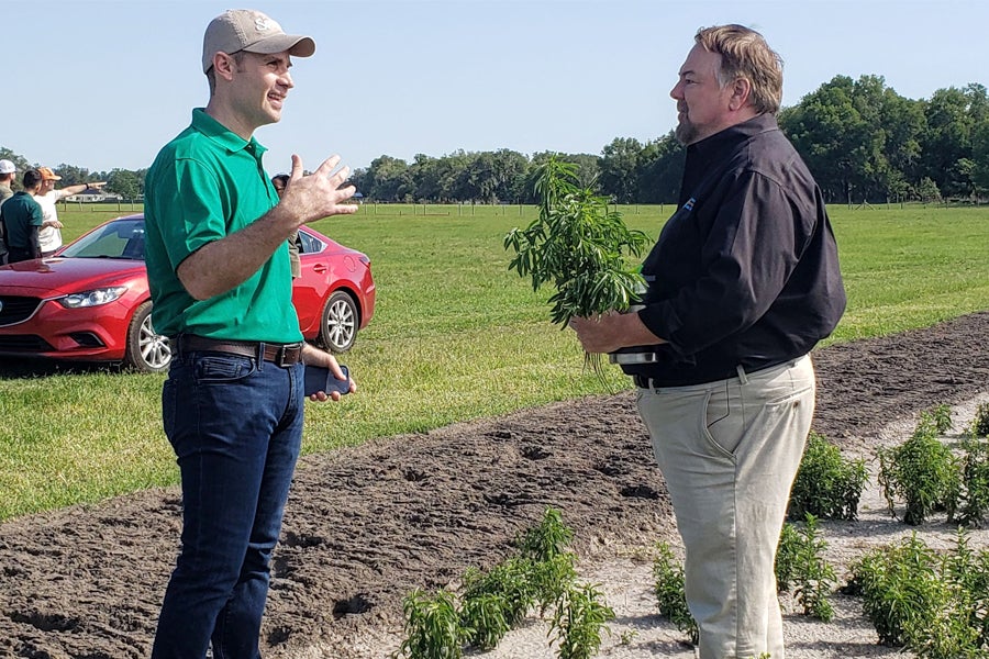 The first stevia farm in the United States.