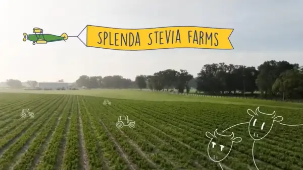 splenda stevia farms animated video poster